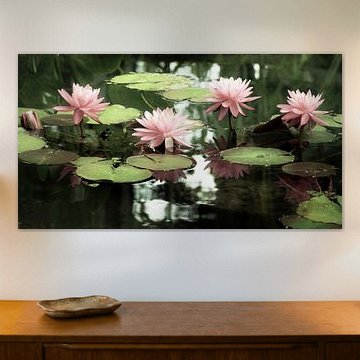 Bloesems in de zon sieren de natuur als parels