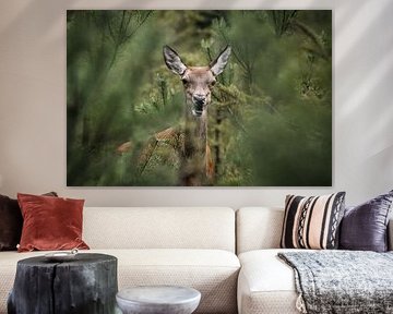 Crazy mouth pulling... ruminating doe in the thicket by Sara in t Veld Fotografie