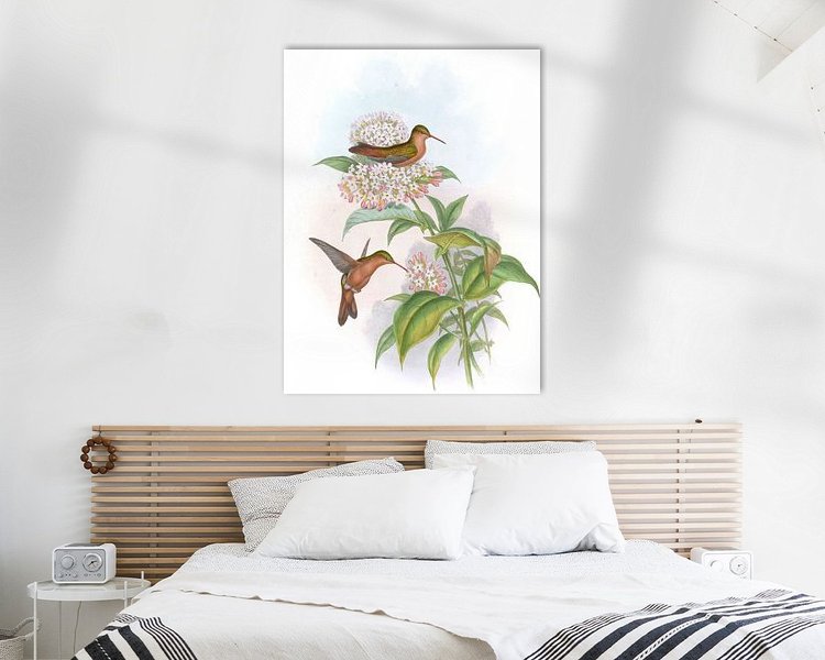 Aperçu de la chambre