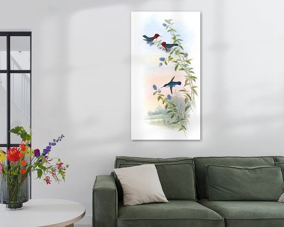 Aperçu de la chambre