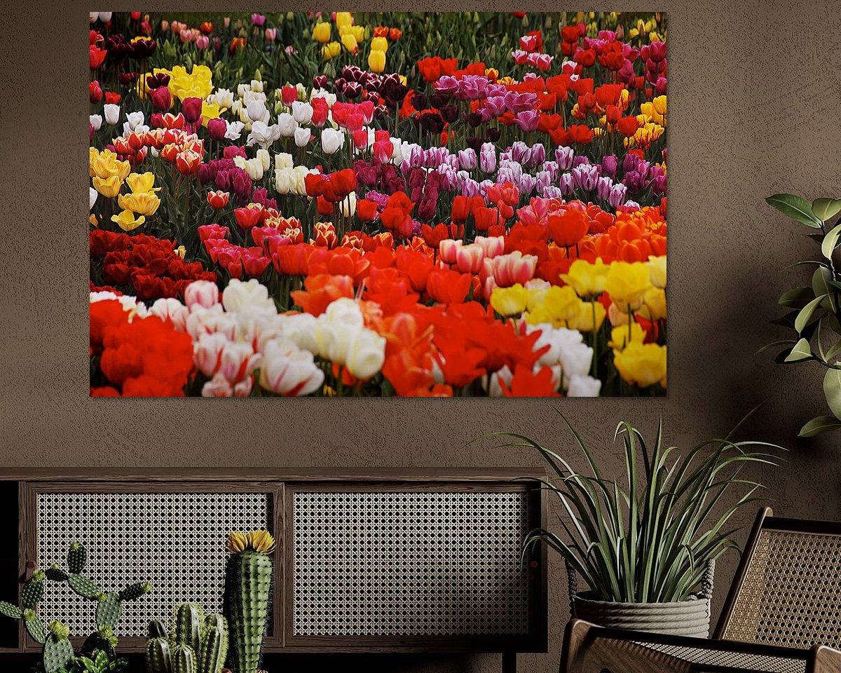 Raumvorschau