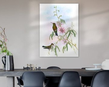Glitzernder Emerald, John Gould von Hummingbirds