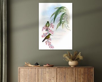 Green-Throated Cazique, John Gould van Hummingbirds