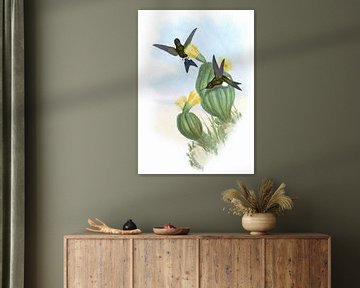 Olijfkleurige bladerdeeg, John Gould van Hummingbirds