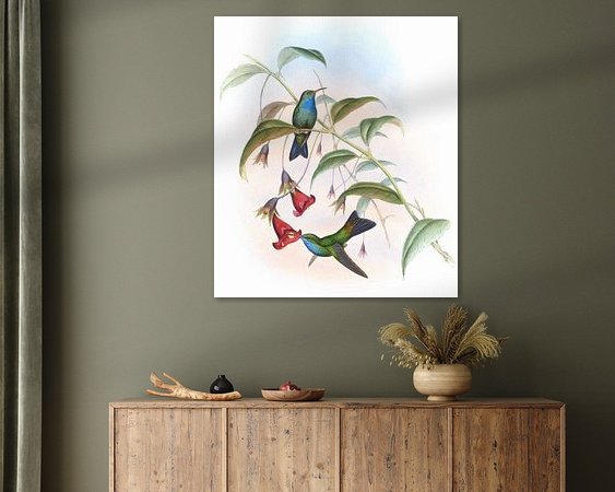 Aperçu de la chambre