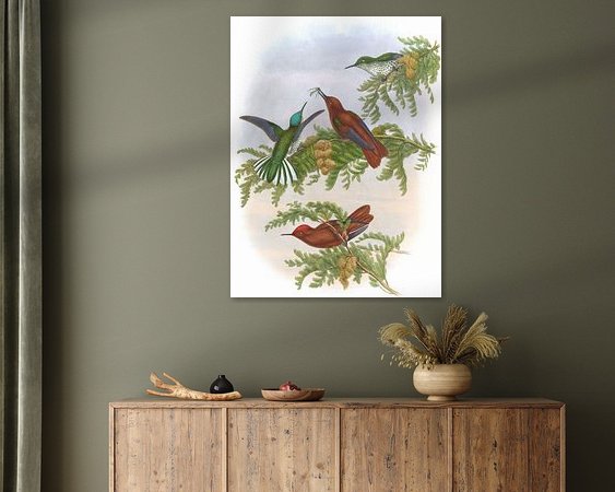 Aperçu de la chambre