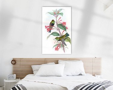 Aperçu de la chambre