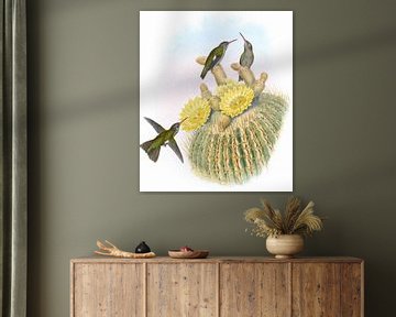 Schemerige zoemende vogel, John Gould van Hummingbirds