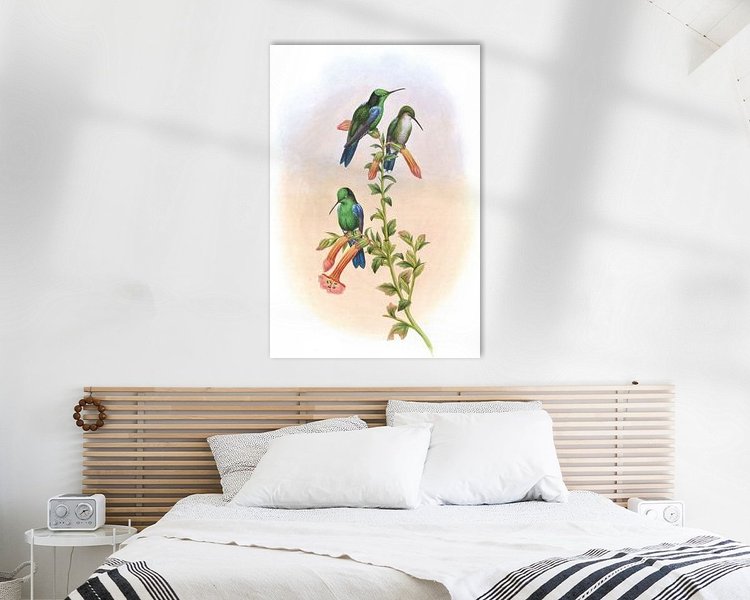 Aperçu de la chambre