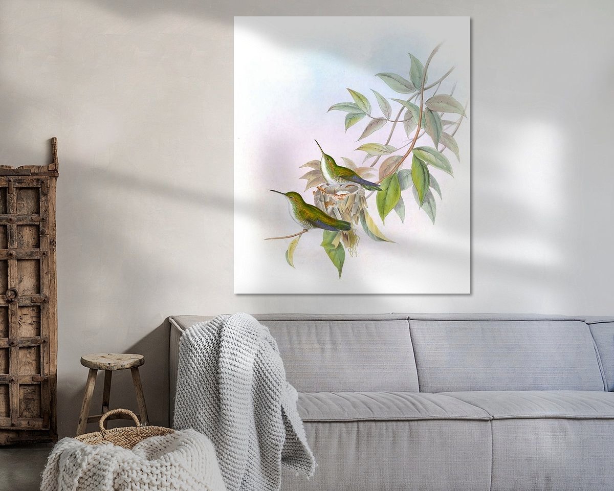 Aperçu de la chambre