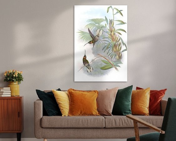 Aperçu de la chambre