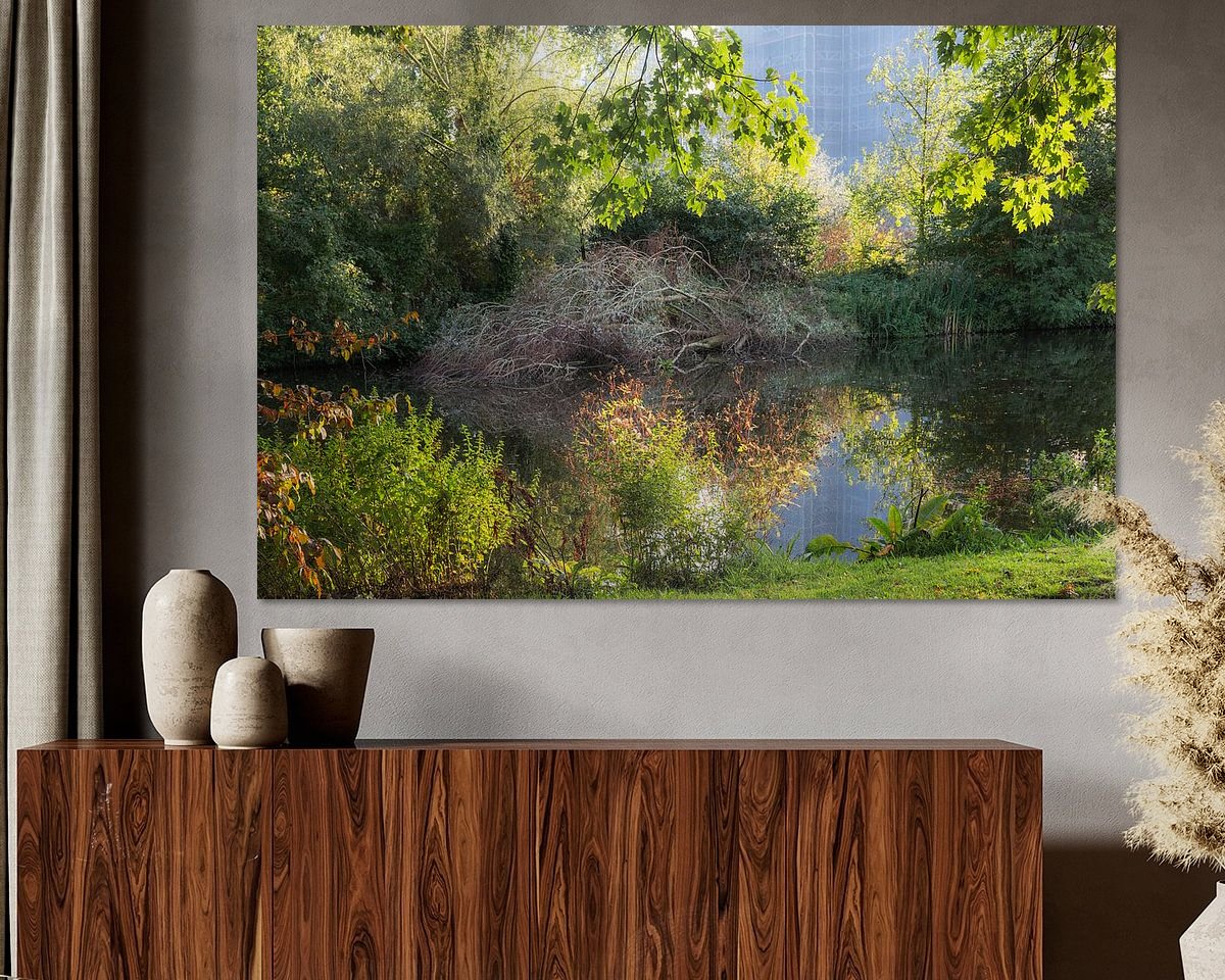 Raumvorschau
