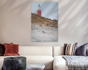 Phoque gris sur la plage de Texel avec la mer en arrière-plan sur Faye van Genderen