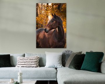 Paard in herfstkleuren van Faye van Genderen