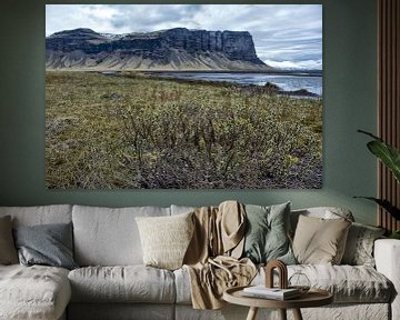 Landschap IJsland van Ruud van der Lubben