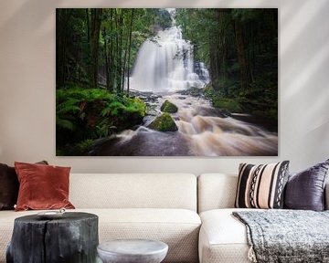 Nelson Falls by Ronne Vinkx