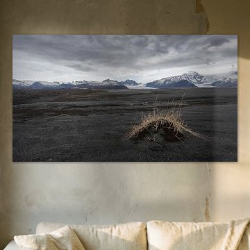 Spaarzaam gras by Ruud van der Lubben