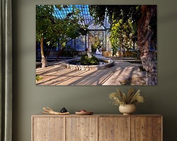 Sunny greenhouse in the Palermo Botanical Garden by Silva Wischeropp