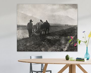 Ploughing (1904) by Alfred Stieglitz von Peter Balan