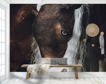 Fine art portrait spotted horse by Shirley van Lieshout