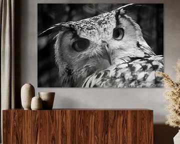 Owl van Margo Smit