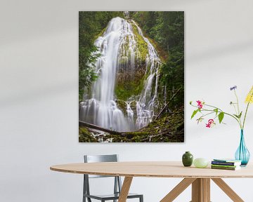 Waterfall Proxy Falls, Oregon