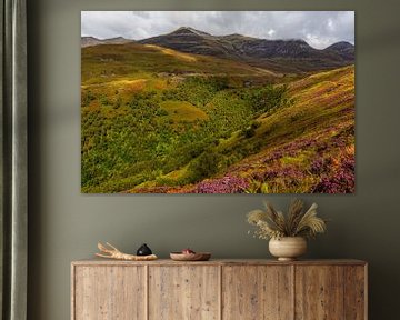 De magnifieke bergen van de Schotse Hooglanden van René Holtslag