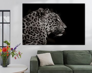 in die Dunkelheit Cheetah 2 von Foto Studio Labie