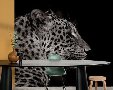 into the dark Cheetah 2 by Foto Studio Labie