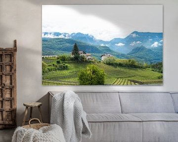 Vignobles dans le nord de l'Italie avec des montagnes en arrière-plan sur Maureen Materman