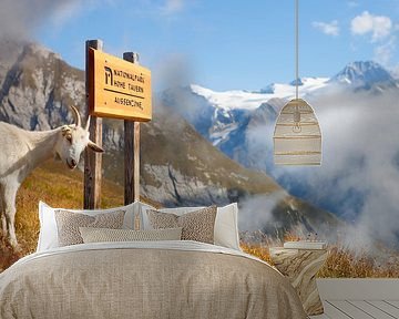 Goat Hohe Tauern by Menno Boermans