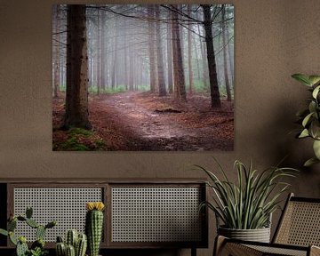 Ochtendnevel in het bos