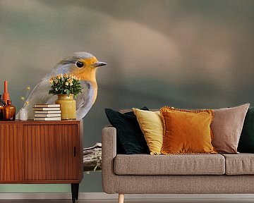 Robin on branch by René Vos