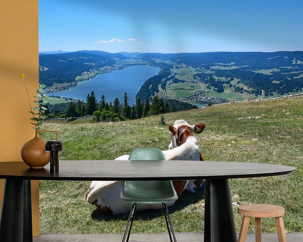 Raumvorschau