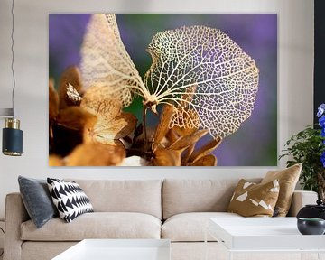 Hydrangea leaf by Janny Schilderink......Atelier "de Tuute "