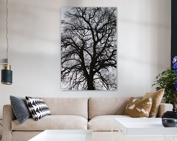 Ein imposanter düsterer Baum von Herman Moor