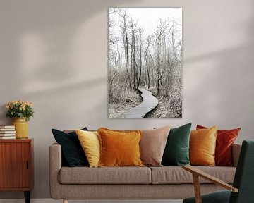 Une promenade enchanteresse à travers les Moerputten près de Den Bosch sur Photolovers reisfotografie