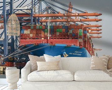 Cosco Shipping CSCL Pacific Ocean container ship. by Jaap van den Berg