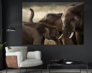 Drie olifanten van Marcel van Balken