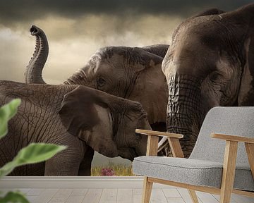 Elephant meeting  by Marcel van Balken