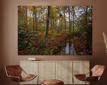 Automne dans la forêt sur Ali Mahboubian