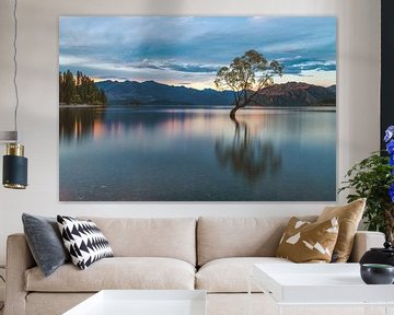 Neuseeland Wanaka Tree am Abend von Jean Claude Castor