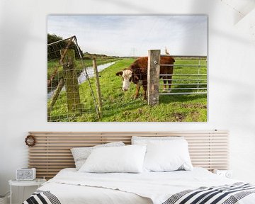 Koe in de wei, zwiepend met zijn staart by Marijke van Eijkeren