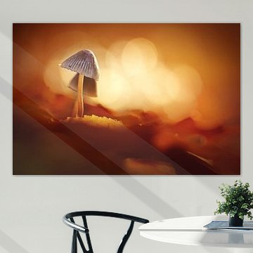 Herbstgold von Bob Daalder