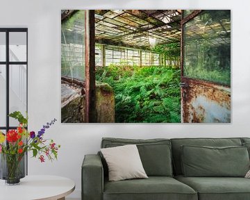 Abandoned Factory with Ferns. by Roman Robroek - Photos of Abandoned Buildings