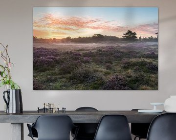 Lever de soleil sur les landes d'Utrechtse Heuvelrug sur Peter Haastrecht, van