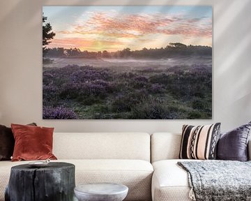 Lever de soleil sur les landes d'Utrechtse Heuvelrug sur Peter Haastrecht, van