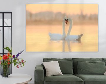 Swan love by Remco Stunnenberg