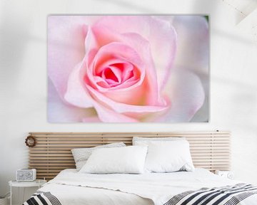 Roze roos met ochtenddauw Macro 1012 van Iris Holzer Richardson
