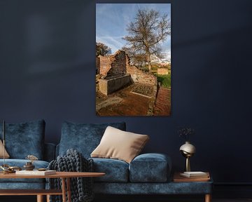 Remains of a farm in Winterswijk in the east of the Netherlands by Tonko Oosterink